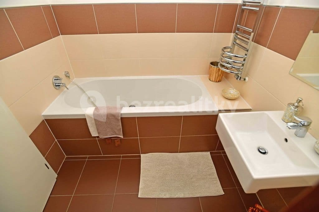 1 bedroom with open-plan kitchen flat to rent, 50 m², Plzeňská, Prague, Prague 1 bedroom with open-plan kitchen flat to rent, 50 m², Plzeňská, Prague, Prague