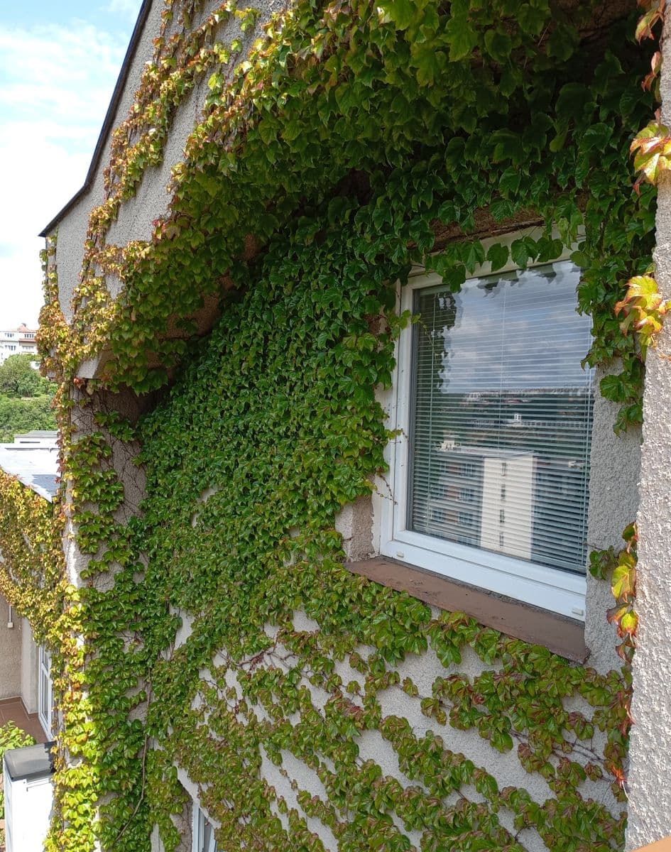 2 bedroom flat to rent, 57 m², Mezivrší, Prague, Prague 2 bedroom flat to rent, 57 m², Mezivrší, Prague, Prague