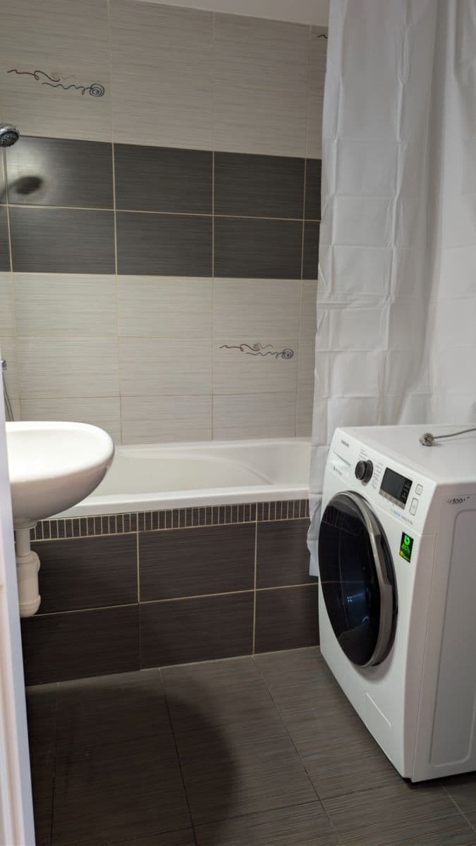 1 bedroom with open-plan kitchen flat to rent, 50 m², Tererova, Prague, Prague 1 bedroom with open-plan kitchen flat to rent, 50 m², Tererova, Prague, Prague