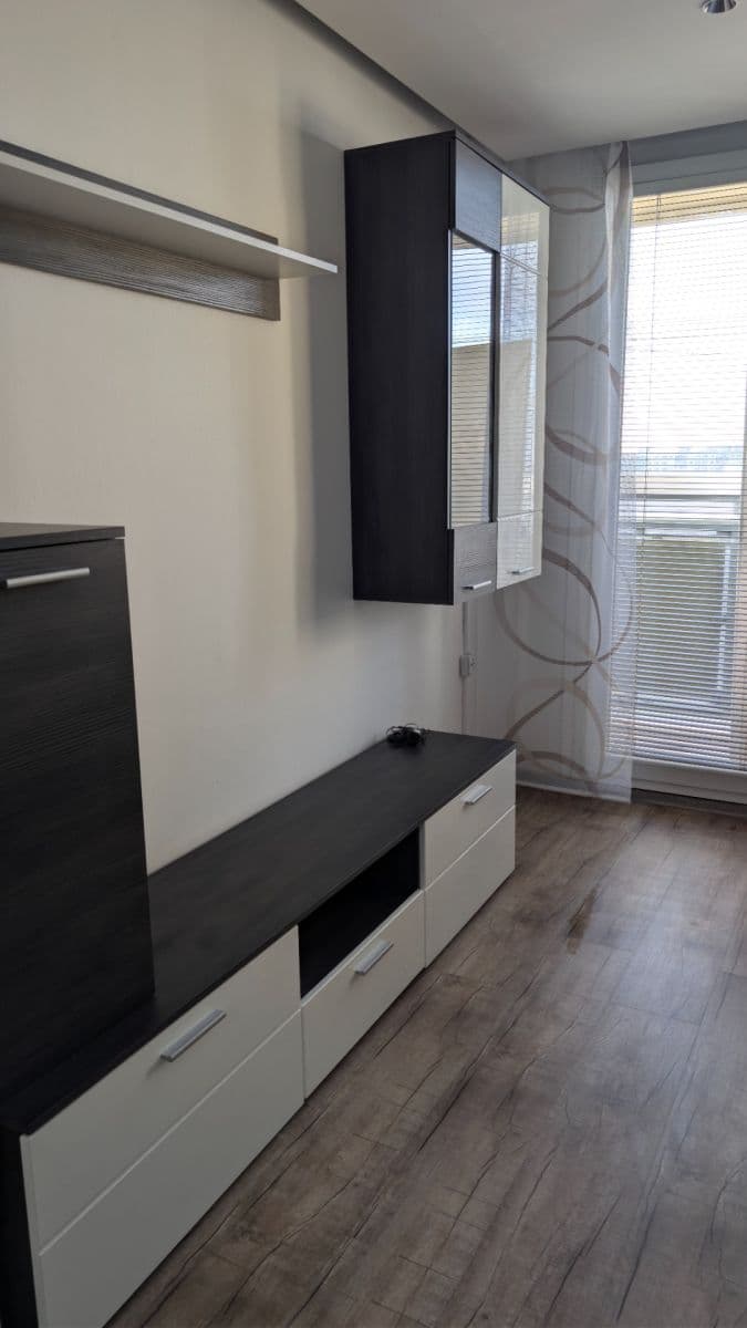 1 bedroom with open-plan kitchen flat to rent, 50 m², Tererova, Prague, Prague 1 bedroom with open-plan kitchen flat to rent, 50 m², Tererova, Prague, Prague
