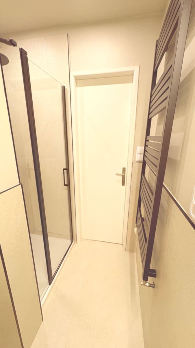 1 bedroom with open-plan kitchen flat to rent, 40 m², Na Vrstvách, Prague, Prague 1 bedroom with open-plan kitchen flat to rent, 40 m², Na Vrstvách, Prague, Prague