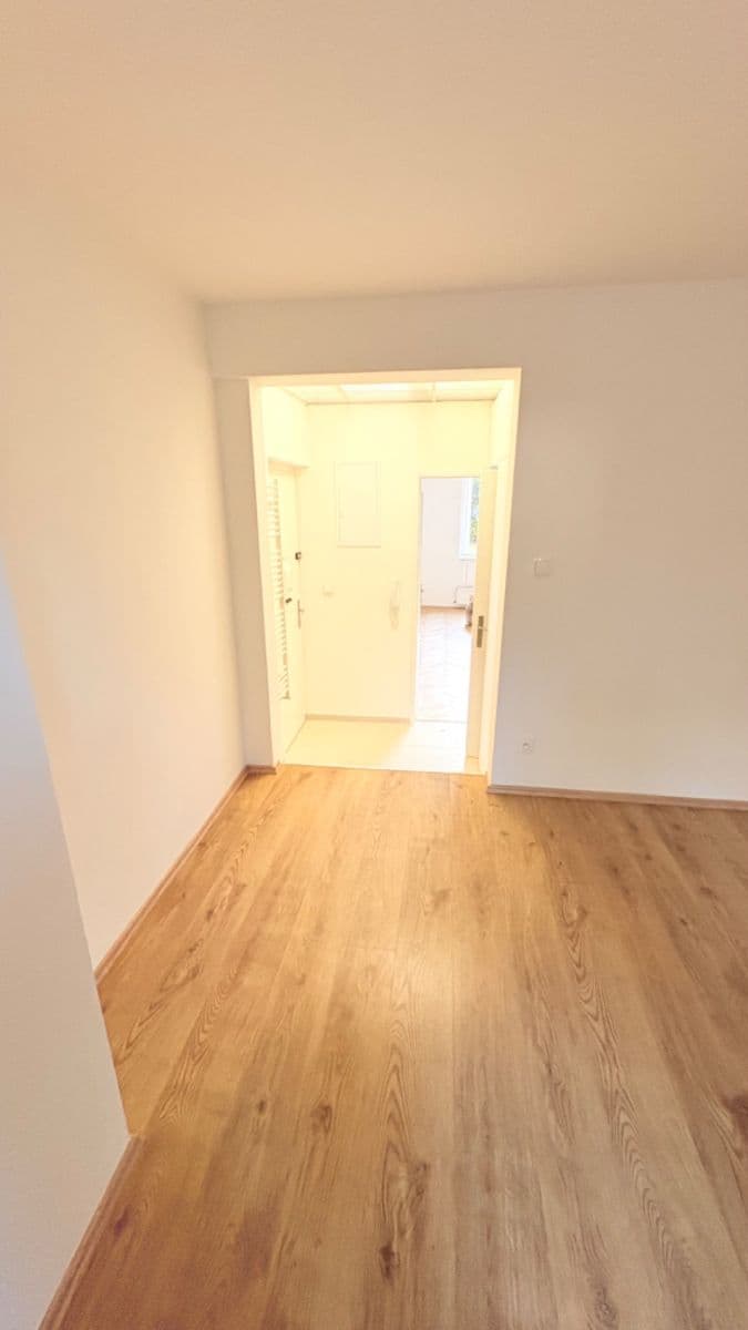 1 bedroom with open-plan kitchen flat to rent, 40 m², Na Vrstvách, Prague, Prague 1 bedroom with open-plan kitchen flat to rent, 40 m², Na Vrstvách, Prague, Prague