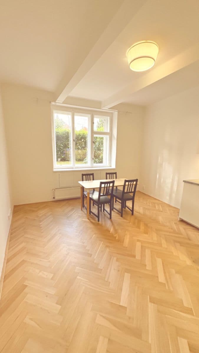 1 bedroom with open-plan kitchen flat to rent, 40 m², Na Vrstvách, Prague, Prague 1 bedroom with open-plan kitchen flat to rent, 40 m², Na Vrstvách, Prague, Prague