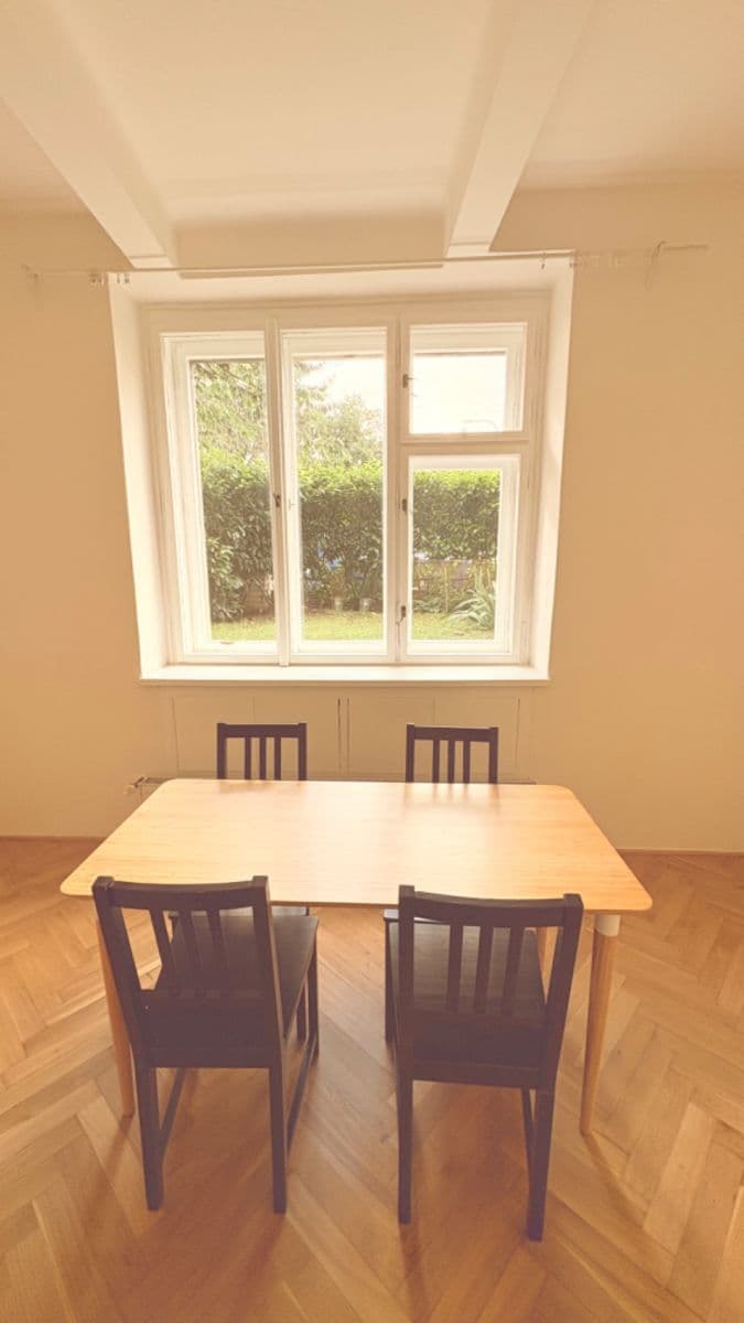 1 bedroom with open-plan kitchen flat to rent, 40 m², Na Vrstvách, Prague, Prague 1 bedroom with open-plan kitchen flat to rent, 40 m², Na Vrstvách, Prague, Prague