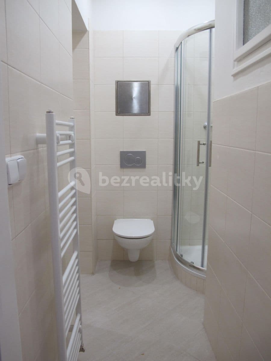1 bedroom with open-plan kitchen flat to rent, 62 m², Zoubkova, Prague, Prague 1 bedroom with open-plan kitchen flat to rent, 62 m², Zoubkova, Prague, Prague