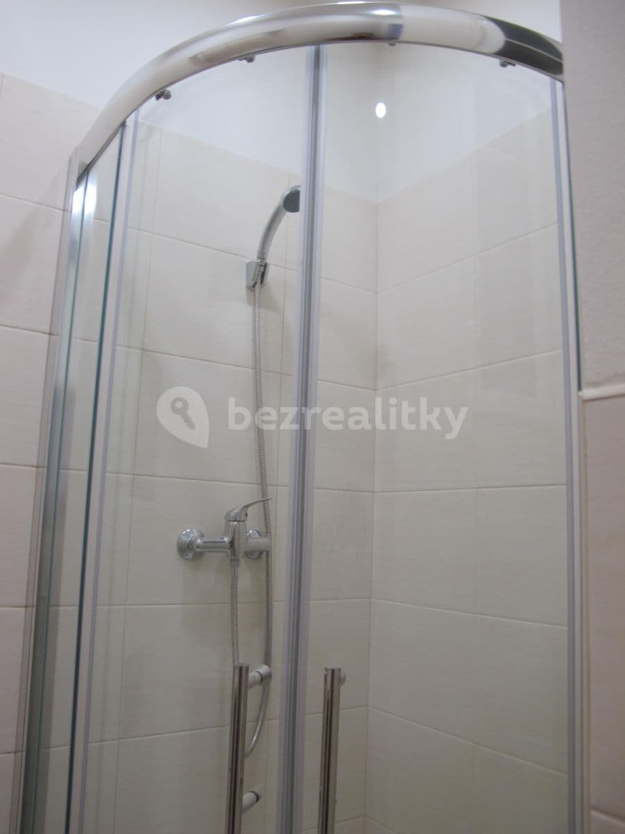 1 bedroom with open-plan kitchen flat to rent, 62 m², Zoubkova, Prague, Prague 1 bedroom with open-plan kitchen flat to rent, 62 m², Zoubkova, Prague, Prague