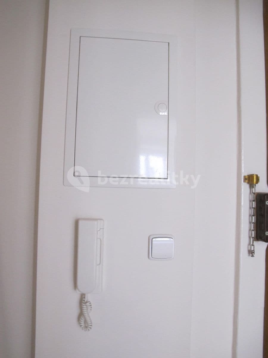 1 bedroom with open-plan kitchen flat to rent, 62 m², Zoubkova, Prague, Prague 1 bedroom with open-plan kitchen flat to rent, 62 m², Zoubkova, Prague, Prague