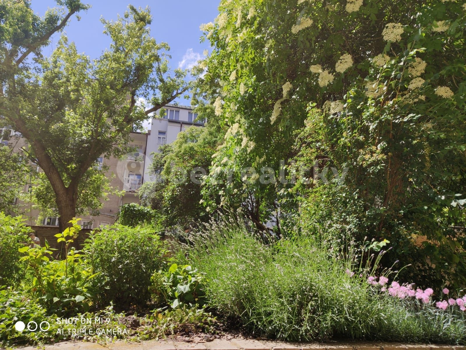 1 bedroom with open-plan kitchen flat to rent, 50 m², Čerchovská, Prague, Prague 1 bedroom with open-plan kitchen flat to rent, 50 m², Čerchovská, Prague, Prague