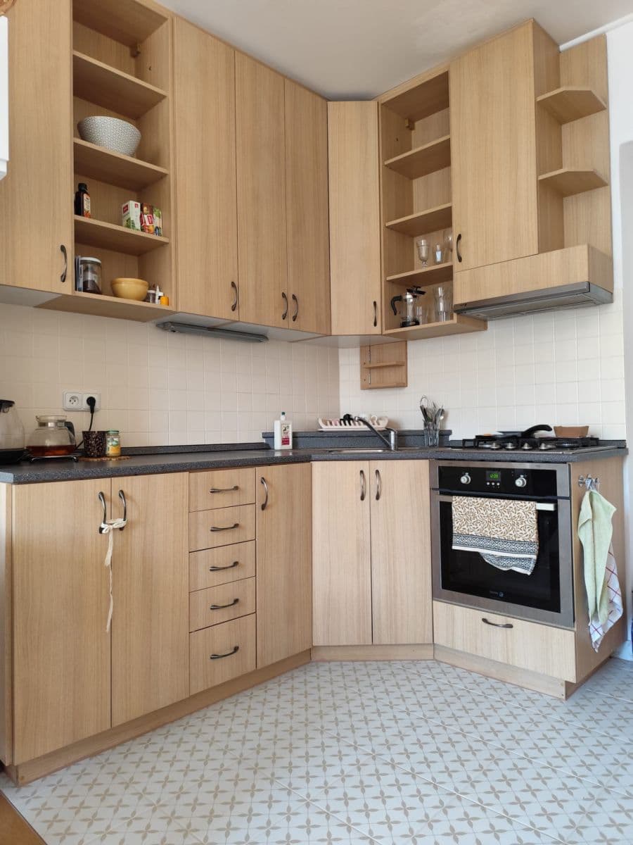 1 bedroom with open-plan kitchen flat to rent, 50 m², U Svobodárny, Prague, Prague 1 bedroom with open-plan kitchen flat to rent, 50 m², U Svobodárny, Prague, Prague