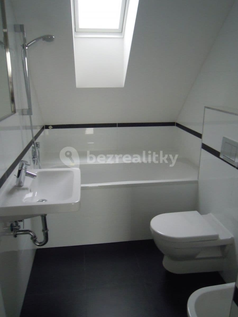 1 bedroom with open-plan kitchen flat to rent, 45 m², Zenklova, Prague, Prague 1 bedroom with open-plan kitchen flat to rent, 45 m², Zenklova, Prague, Prague