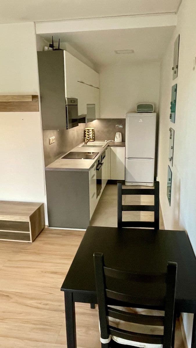 1 bedroom with open-plan kitchen flat to rent, 53 m², Brno, Jihomoravský Region 1 bedroom with open-plan kitchen flat to rent, 53 m², Brno, Jihomoravský Region