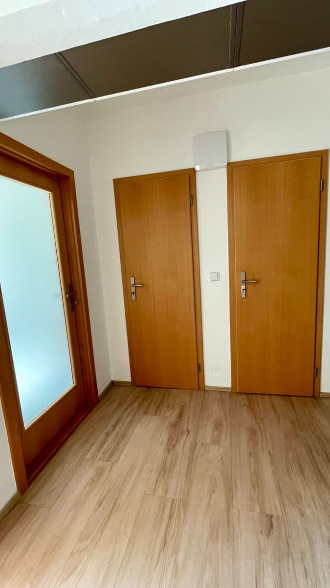1 bedroom with open-plan kitchen flat to rent, 53 m², Brno, Jihomoravský Region 1 bedroom with open-plan kitchen flat to rent, 53 m², Brno, Jihomoravský Region