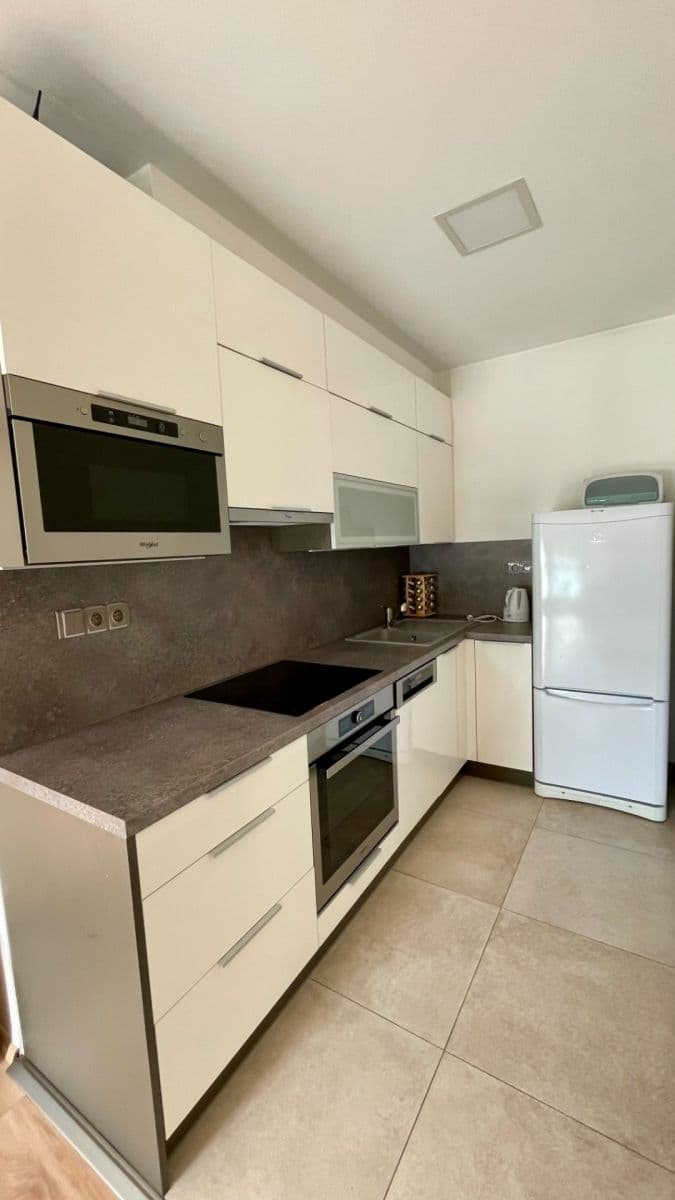 1 bedroom with open-plan kitchen flat to rent, 53 m², Brno, Jihomoravský Region 1 bedroom with open-plan kitchen flat to rent, 53 m², Brno, Jihomoravský Region