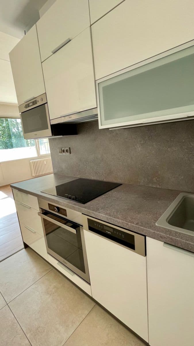 1 bedroom with open-plan kitchen flat to rent, 53 m², Brno, Jihomoravský Region 1 bedroom with open-plan kitchen flat to rent, 53 m², Brno, Jihomoravský Region