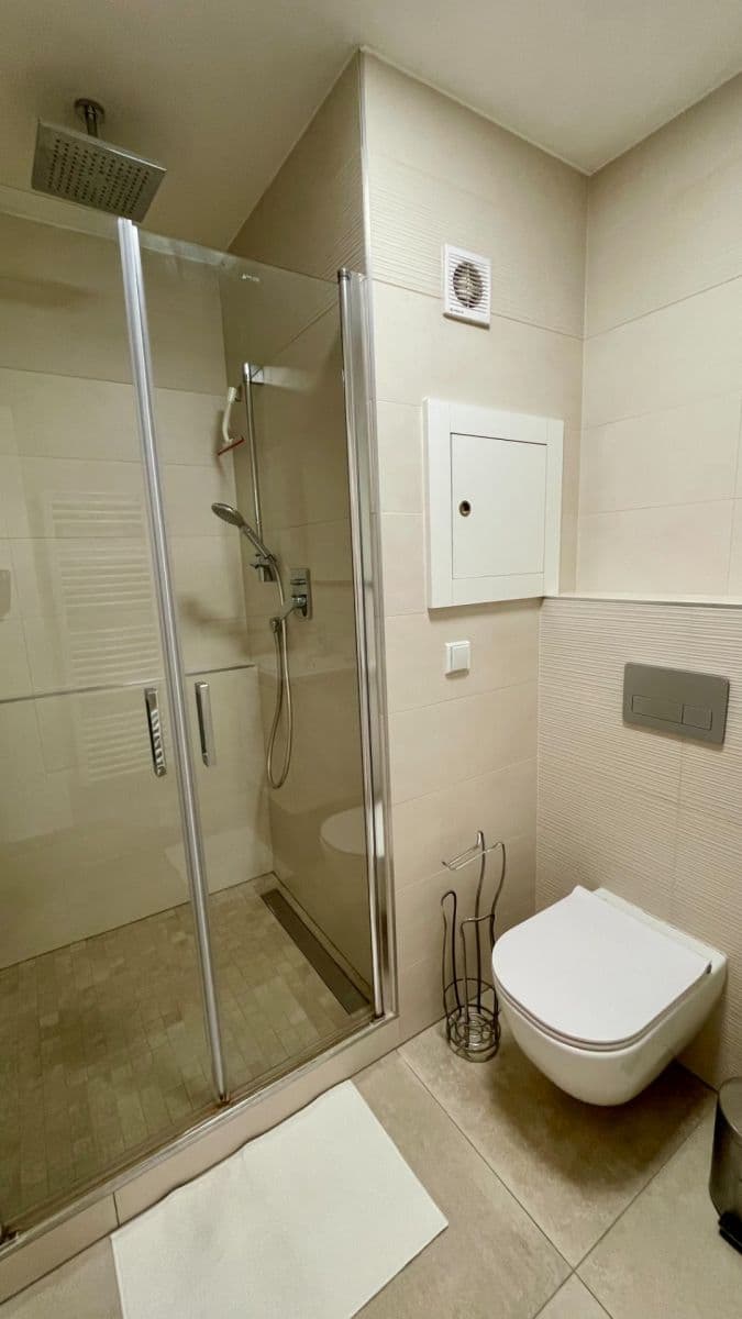 1 bedroom with open-plan kitchen flat to rent, 53 m², Brno, Jihomoravský Region 1 bedroom with open-plan kitchen flat to rent, 53 m², Brno, Jihomoravský Region