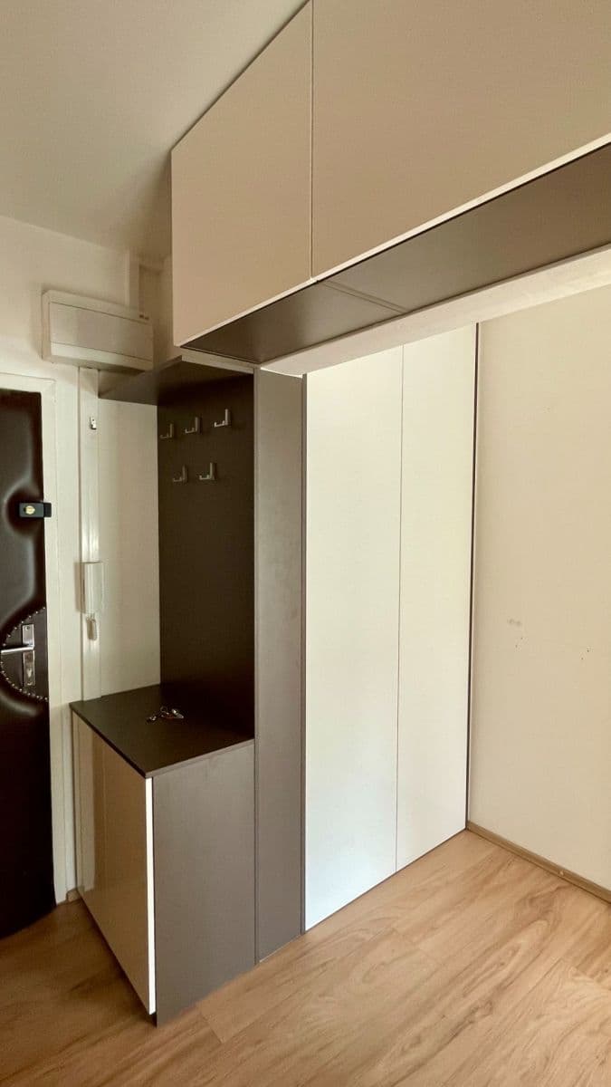 1 bedroom with open-plan kitchen flat to rent, 53 m², Brno, Jihomoravský Region 1 bedroom with open-plan kitchen flat to rent, 53 m², Brno, Jihomoravský Region