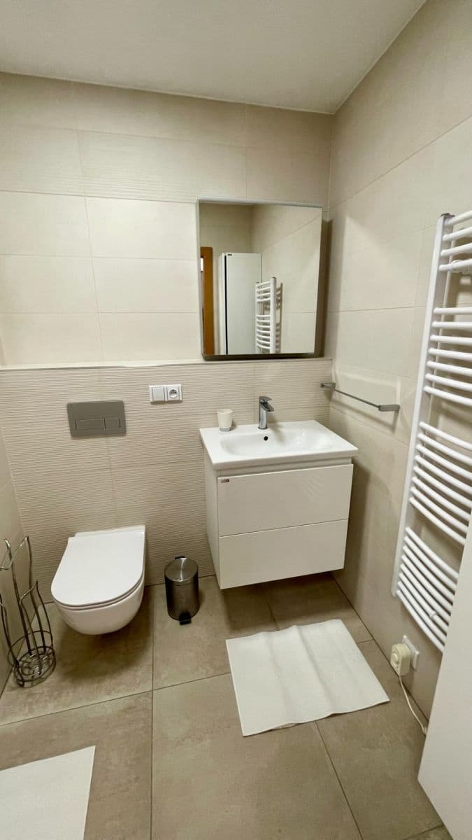1 bedroom with open-plan kitchen flat to rent, 53 m², Brno, Jihomoravský Region 1 bedroom with open-plan kitchen flat to rent, 53 m², Brno, Jihomoravský Region