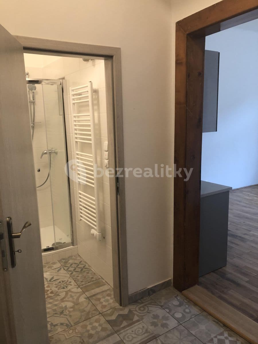 Studio flat to rent, 25 m², Oldřichova, Prague, Prague Studio flat to rent, 25 m², Oldřichova, Prague, Prague