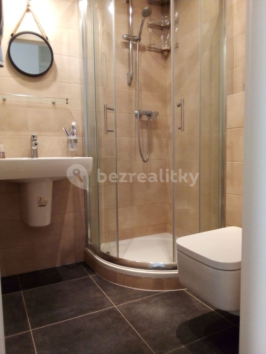 Small studio flat to rent, 17 m², Zborovská, Prague, Prague Small studio flat to rent, 17 m², Zborovská, Prague, Prague