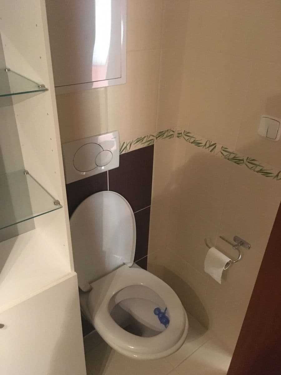 Studio flat to rent, 33 m², Pod Lipami, Prague, Prague Studio flat to rent, 33 m², Pod Lipami, Prague, Prague