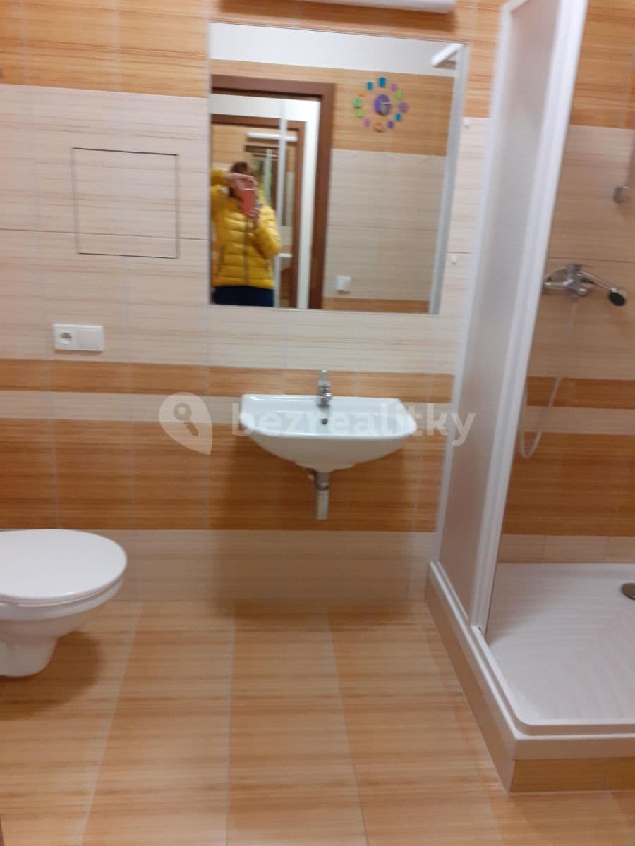 Studio flat to rent, 50 m², Stromovka, Havlíčkův Brod, Vysočina Region Studio flat to rent, 50 m², Stromovka, Havlíčkův Brod, Vysočina Region