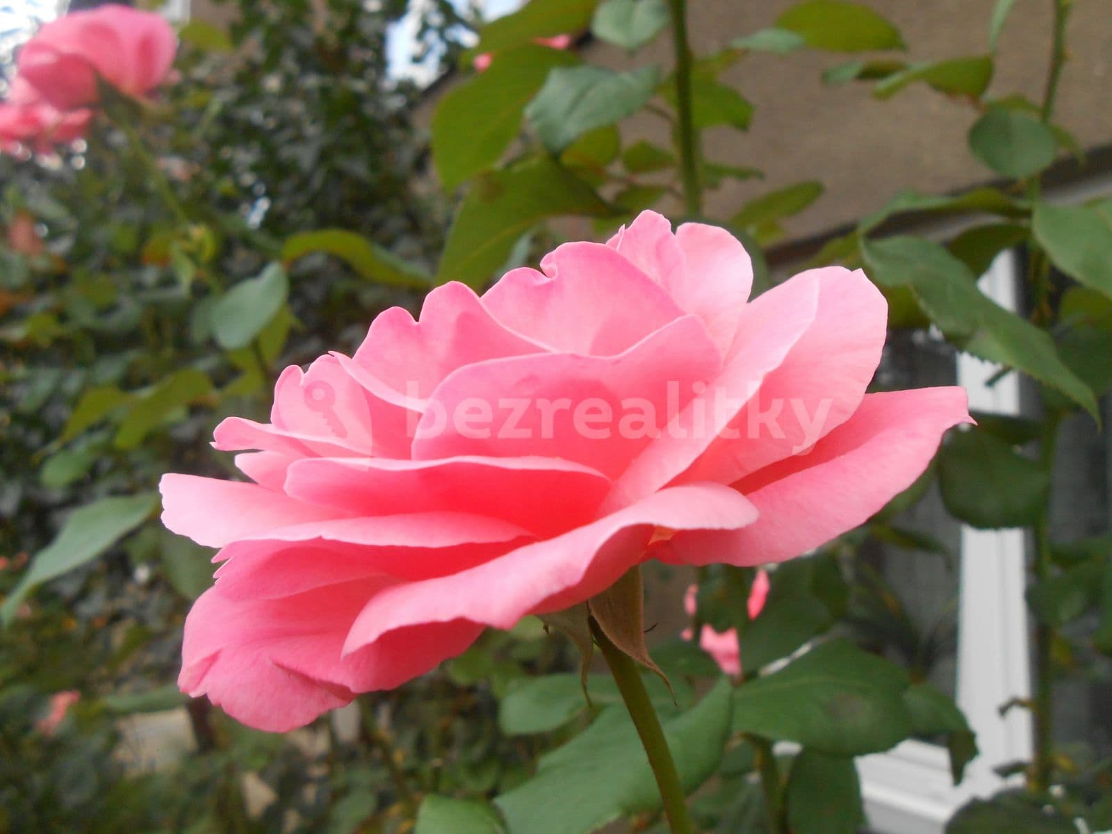 3 bedroom flat to rent, 69 m², Arménská, Prague, Prague 3 bedroom flat to rent, 69 m², Arménská, Prague, Prague