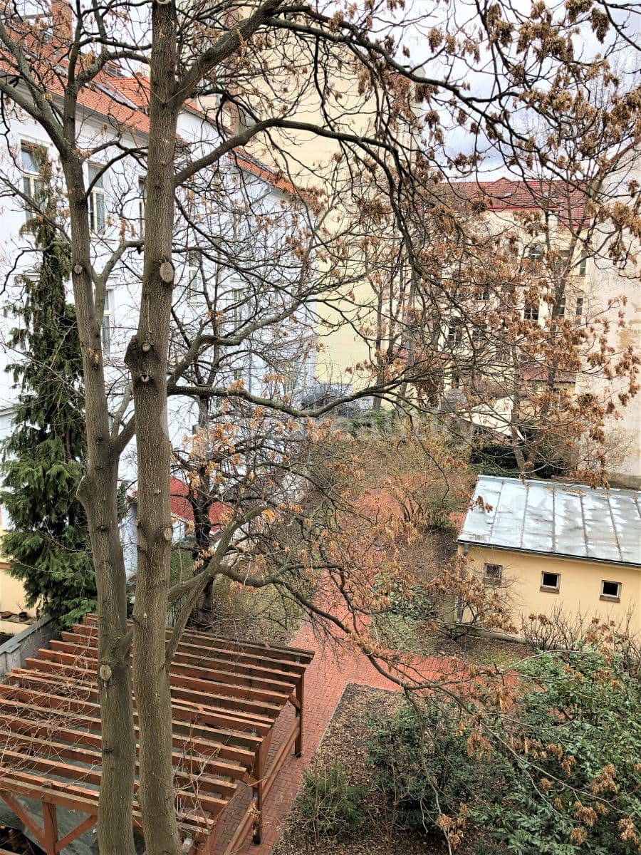 Small studio flat to rent, 33 m², Moskevská, Prague, Prague Small studio flat to rent, 33 m², Moskevská, Prague, Prague