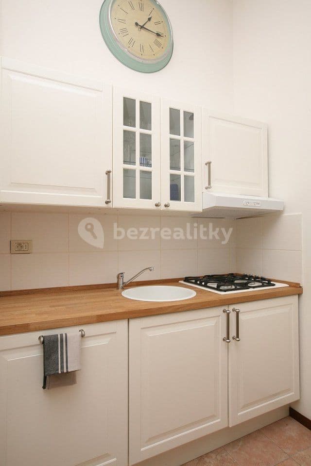 1 bedroom with open-plan kitchen flat to rent, 50 m², Korunní, Prague, Prague 1 bedroom with open-plan kitchen flat to rent, 50 m², Korunní, Prague, Prague