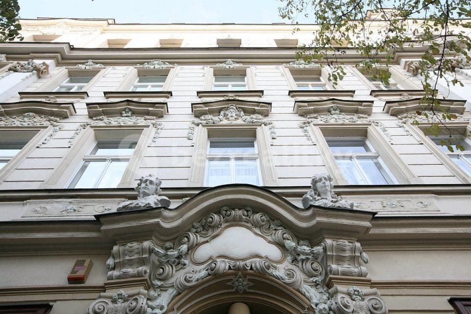 1 bedroom with open-plan kitchen flat to rent, 50 m², Korunní, Prague, Prague 1 bedroom with open-plan kitchen flat to rent, 50 m², Korunní, Prague, Prague
