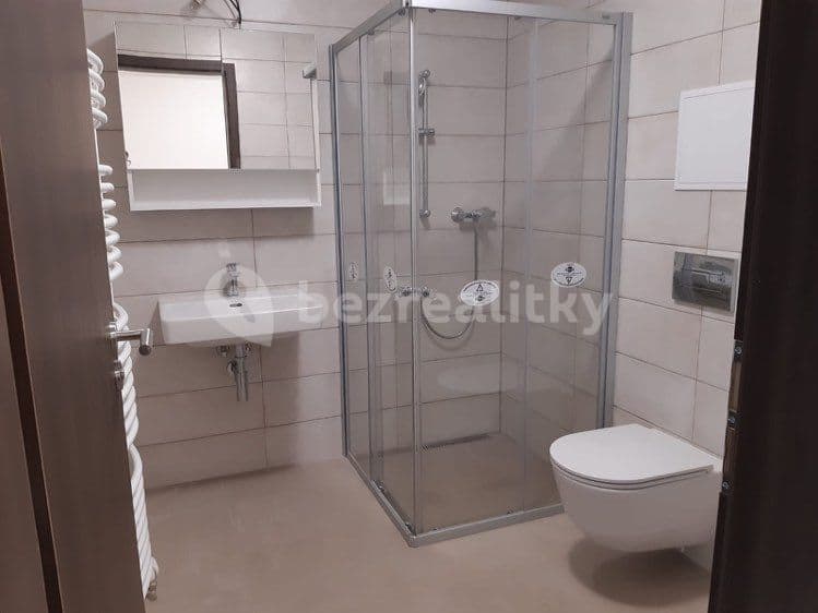 1 bedroom with open-plan kitchen flat to rent, 44 m², Pallova, Plzeň, Plzeňský Region 1 bedroom with open-plan kitchen flat to rent, 44 m², Pallova, Plzeň, Plzeňský Region