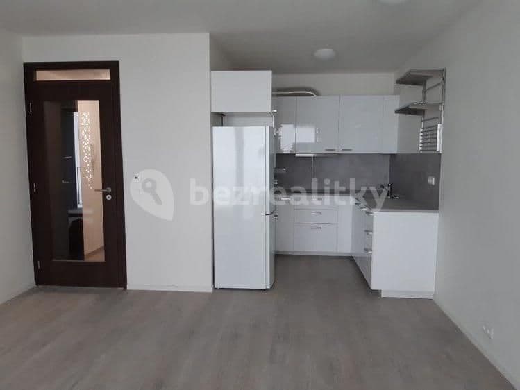 1 bedroom with open-plan kitchen flat to rent, 44 m², Pallova, Plzeň, Plzeňský Region 1 bedroom with open-plan kitchen flat to rent, 44 m², Pallova, Plzeň, Plzeňský Region