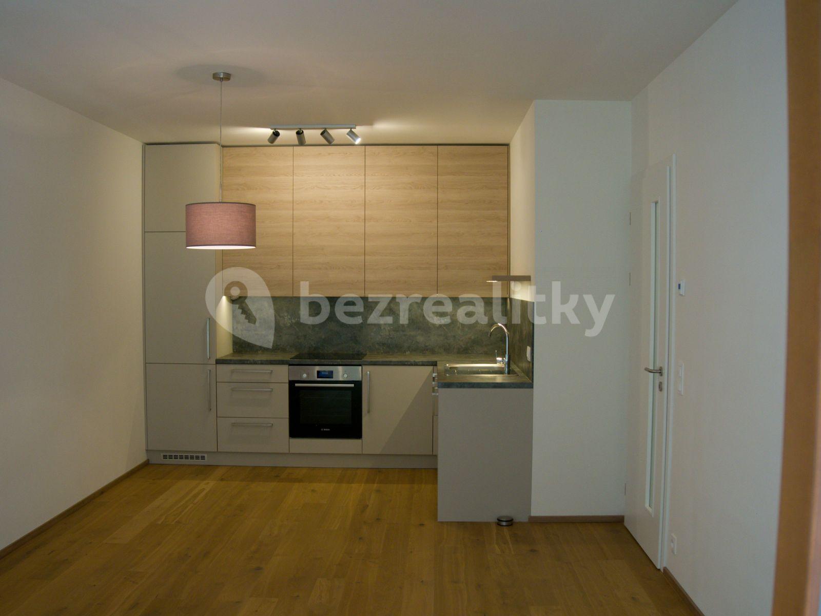 1 bedroom with open-plan kitchen flat to rent, 52 m², Naskové, Prague, Prague