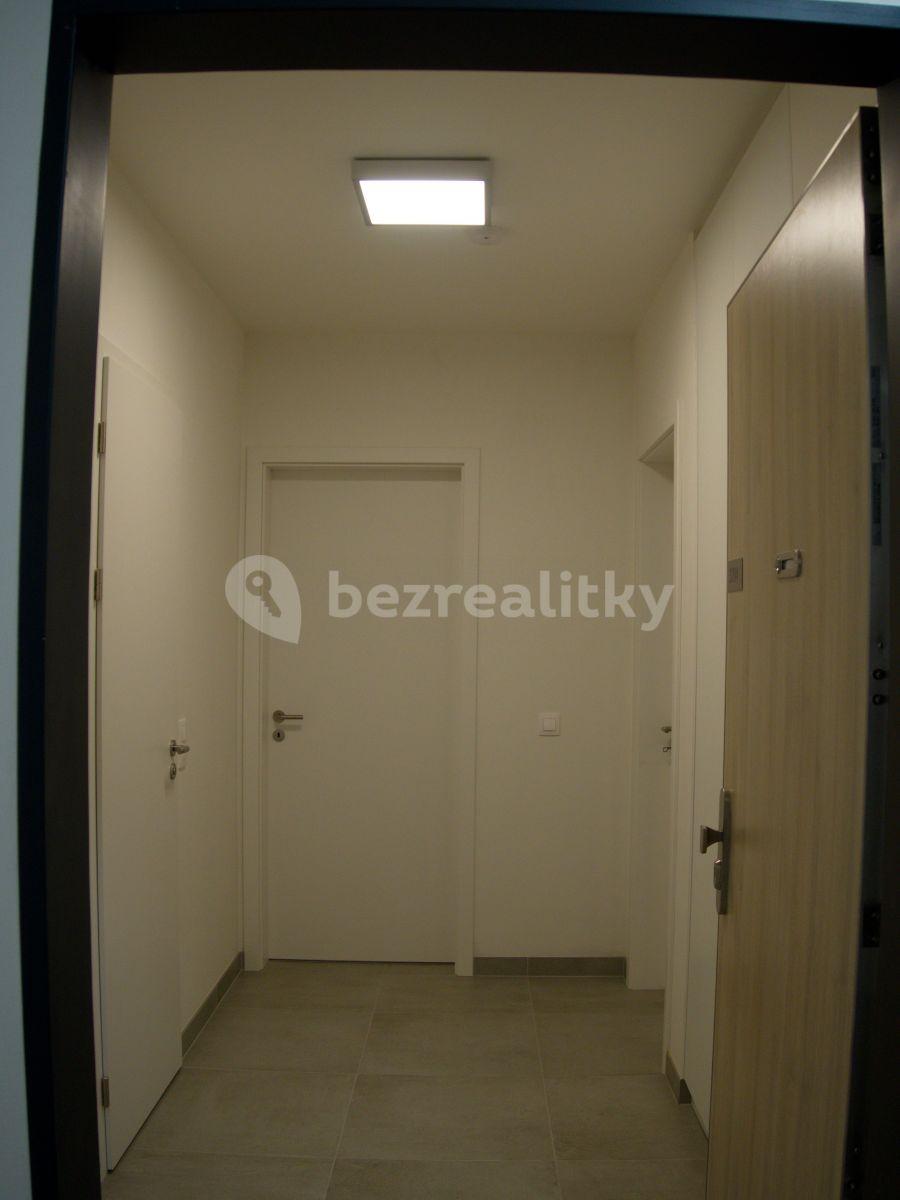 1 bedroom with open-plan kitchen flat to rent, 52 m², Naskové, Prague, Prague