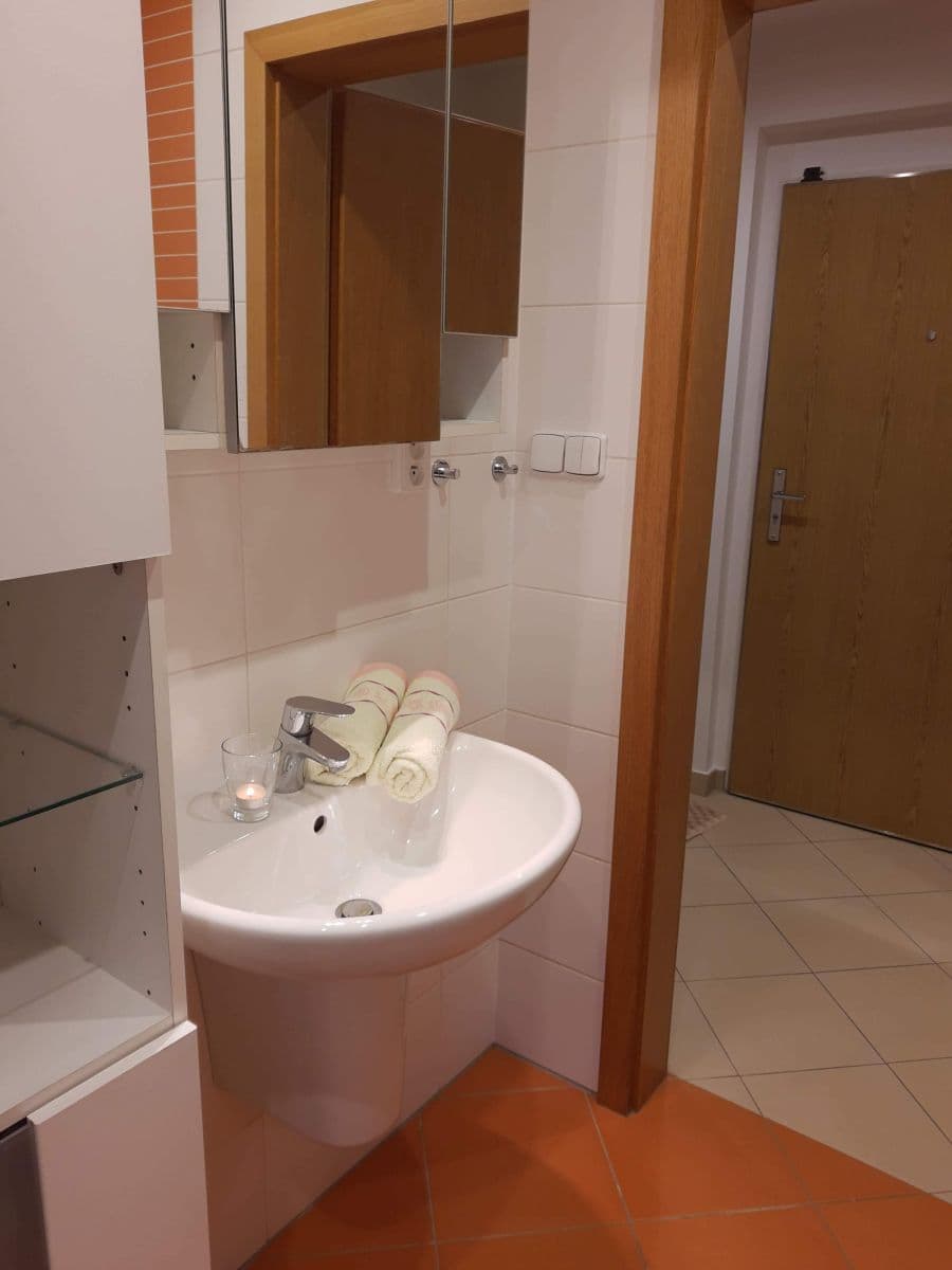 Studio flat to rent, 37 m², Nademlejnská, Prague, Prague Studio flat to rent, 37 m², Nademlejnská, Prague, Prague