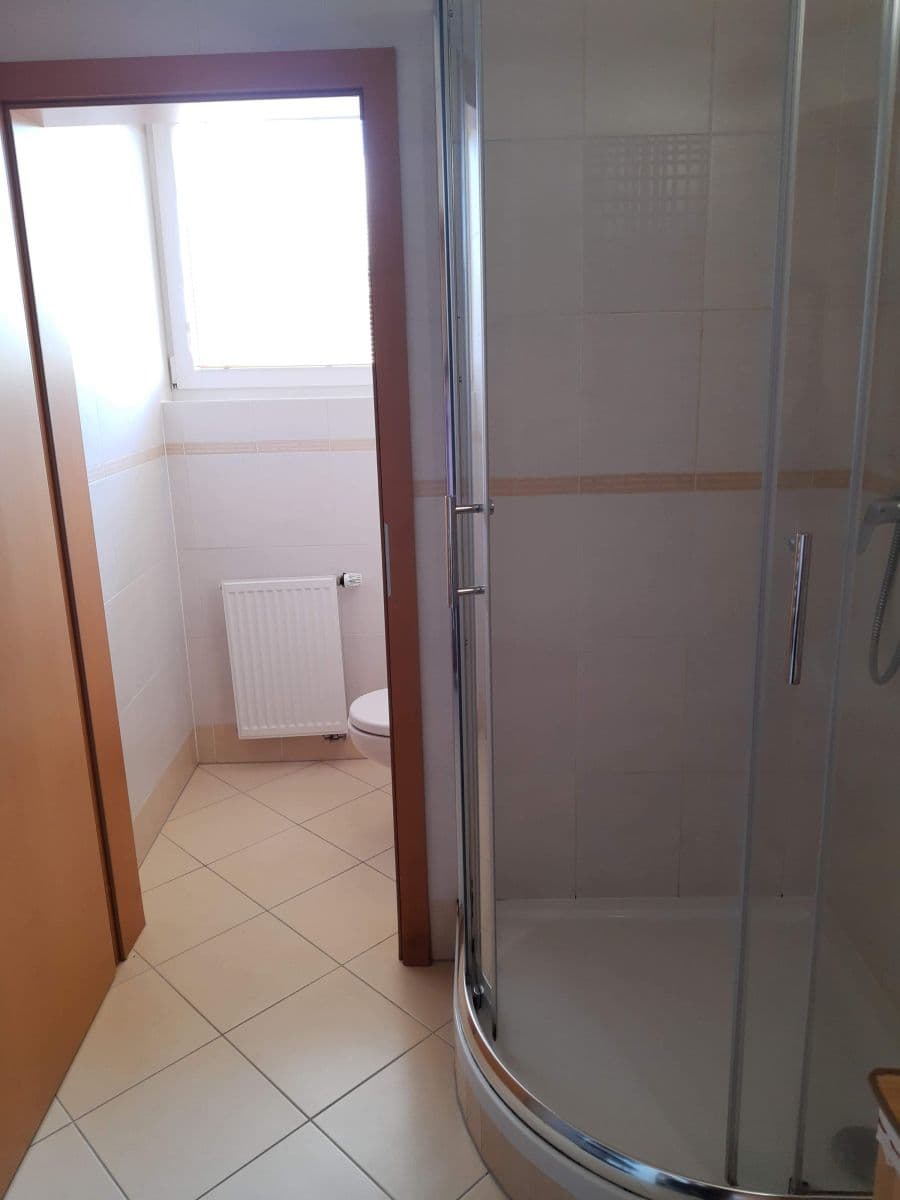 Studio flat to rent, 37 m², Nademlejnská, Prague, Prague Studio flat to rent, 37 m², Nademlejnská, Prague, Prague