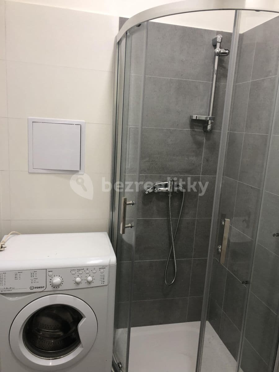 2 bedroom with open-plan kitchen flat to rent, 67 m², Podolská, Prague, Prague 2 bedroom with open-plan kitchen flat to rent, 67 m², Podolská, Prague, Prague