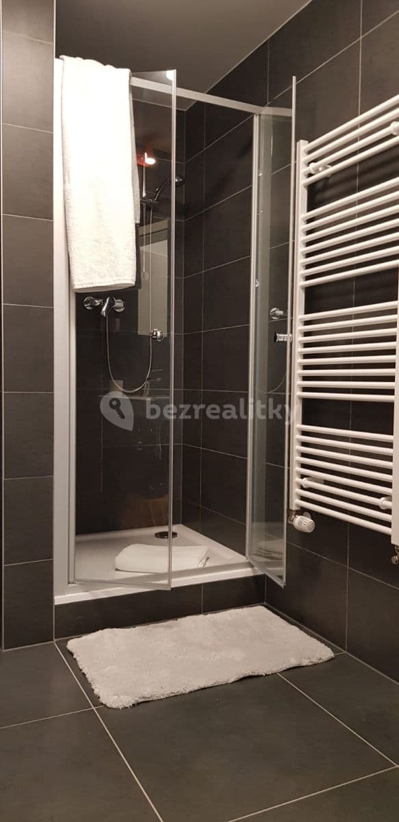 Studio flat to rent, 31 m², Zelnice II, Slavkov u Brna, Jihomoravský Region Studio flat to rent, 31 m², Zelnice II, Slavkov u Brna, Jihomoravský Region