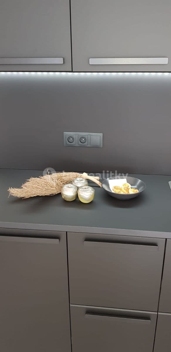 Studio flat to rent, 31 m², Zelnice II, Slavkov u Brna, Jihomoravský Region Studio flat to rent, 31 m², Zelnice II, Slavkov u Brna, Jihomoravský Region