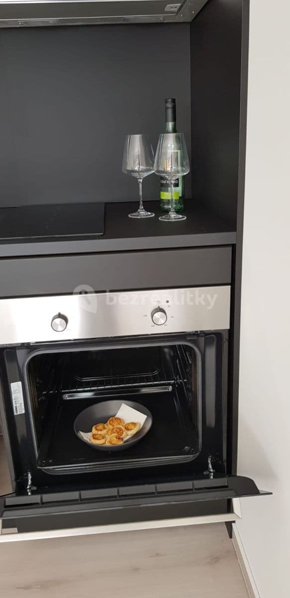 Studio flat to rent, 31 m², Zelnice II, Slavkov u Brna, Jihomoravský Region Studio flat to rent, 31 m², Zelnice II, Slavkov u Brna, Jihomoravský Region