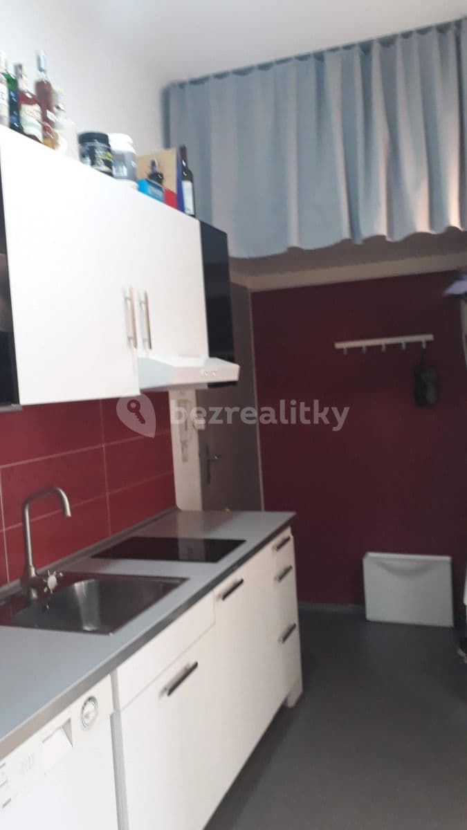 1 bedroom with open-plan kitchen flat to rent, 50 m², Na Dlouhém lánu, Prague, Prague 1 bedroom with open-plan kitchen flat to rent, 50 m², Na Dlouhém lánu, Prague, Prague