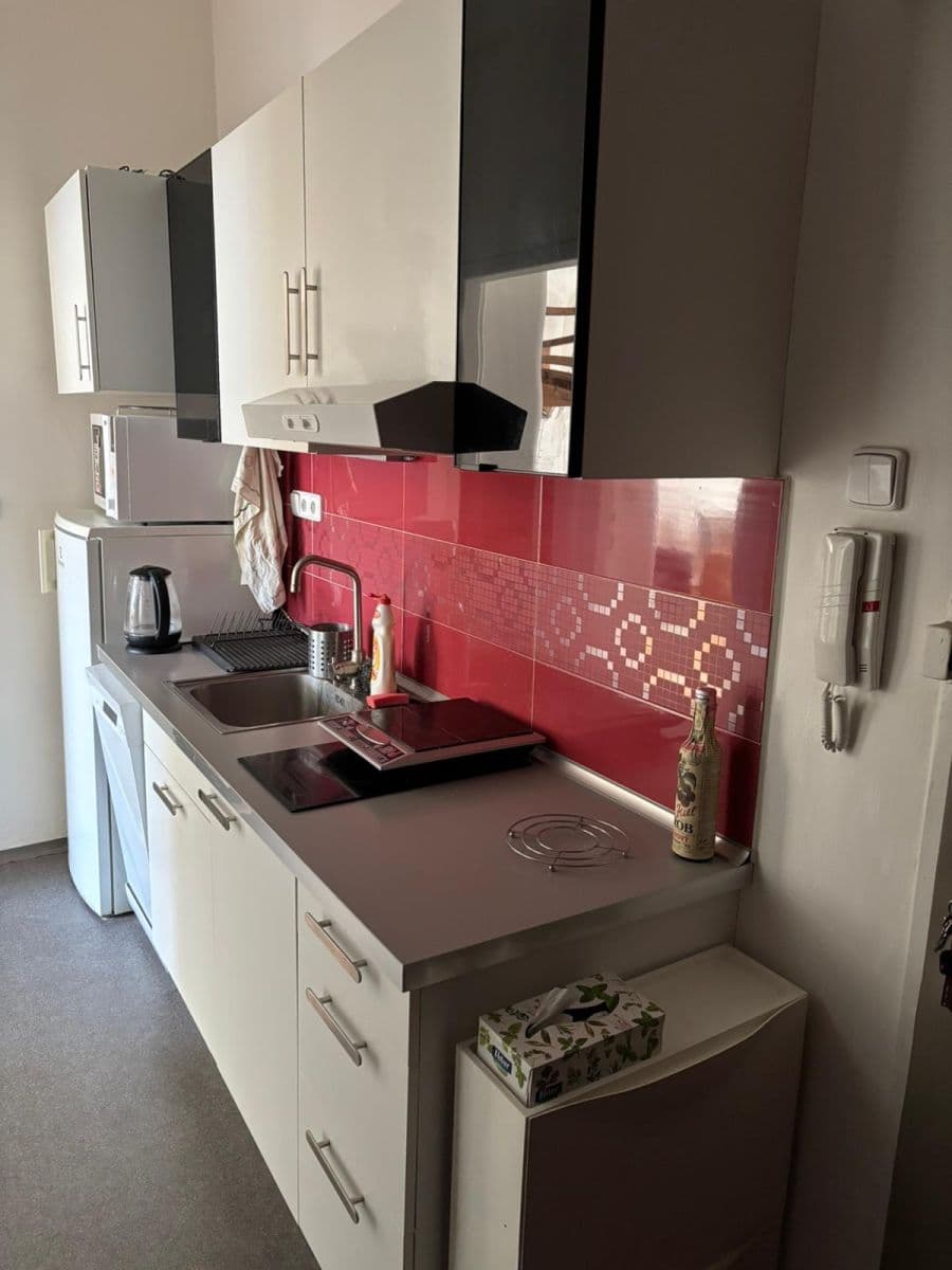 1 bedroom with open-plan kitchen flat to rent, 50 m², Na Dlouhém lánu, Prague, Prague 1 bedroom with open-plan kitchen flat to rent, 50 m², Na Dlouhém lánu, Prague, Prague