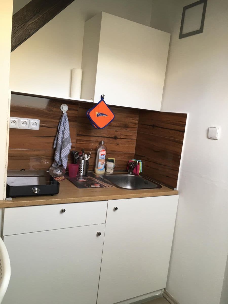 Studio flat to rent, 30 m², Nad Vodovodem, Prague, Prague Studio flat to rent, 30 m², Nad Vodovodem, Prague, Prague