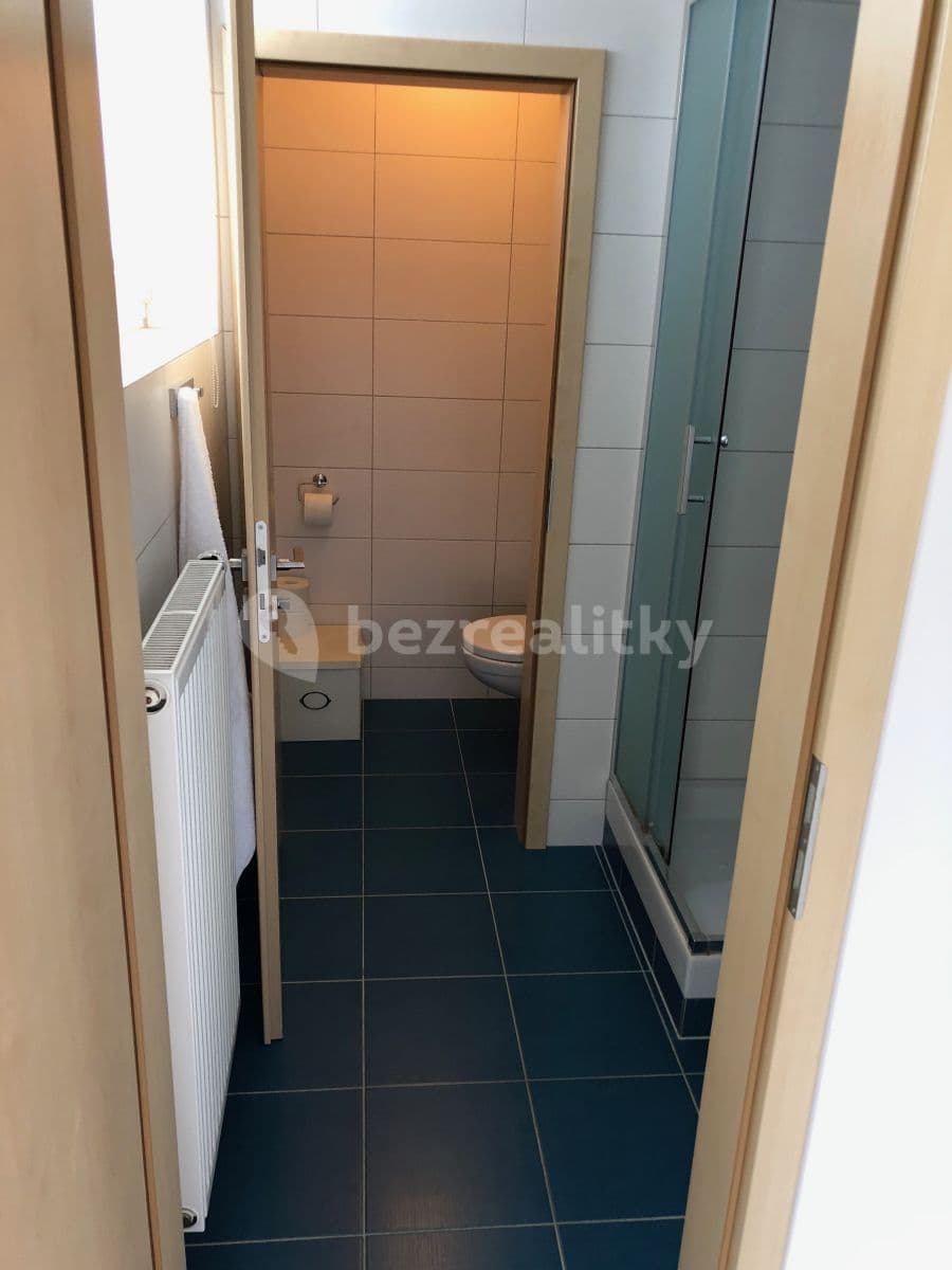 Studio flat to rent, 44 m², V Horkách, Prague, Prague Studio flat to rent, 44 m², V Horkách, Prague, Prague