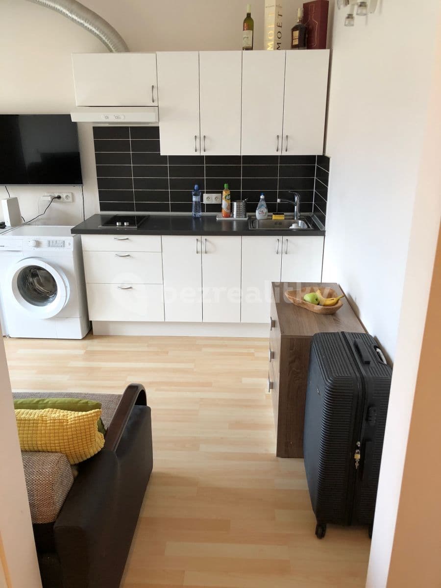 Studio flat to rent, 44 m², V Horkách, Prague, Prague Studio flat to rent, 44 m², V Horkách, Prague, Prague