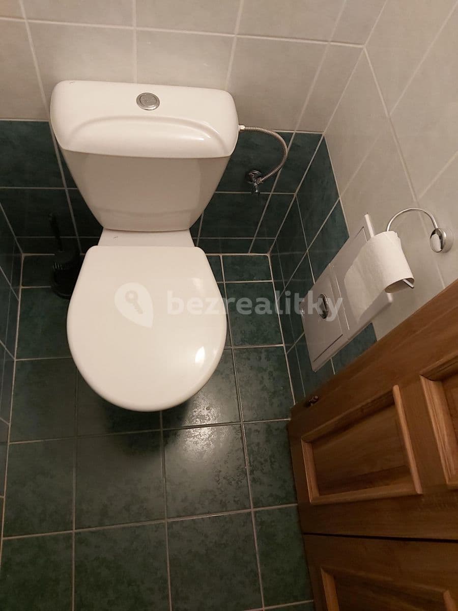1 bedroom with open-plan kitchen flat to rent, 45 m², Americká, Prague, Prague 1 bedroom with open-plan kitchen flat to rent, 45 m², Americká, Prague, Prague