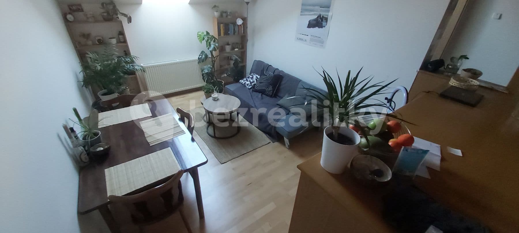 1 bedroom with open-plan kitchen flat to rent, 45 m², Americká, Prague, Prague 1 bedroom with open-plan kitchen flat to rent, 45 m², Americká, Prague, Prague