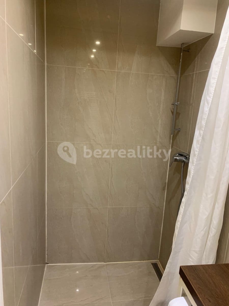 Studio flat to rent, 36 m², Milady Horákové, Prague, Prague Studio flat to rent, 36 m², Milady Horákové, Prague, Prague