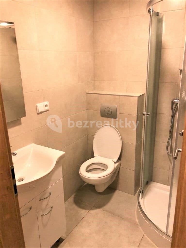Small studio flat to rent, 15 m², Moskevská, Prague, Prague Small studio flat to rent, 15 m², Moskevská, Prague, Prague