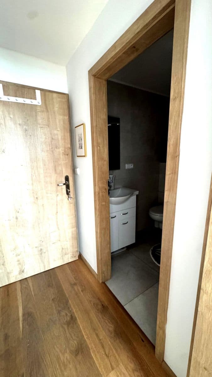 Small studio flat to rent, 15 m², Moskevská, Prague, Prague Small studio flat to rent, 15 m², Moskevská, Prague, Prague