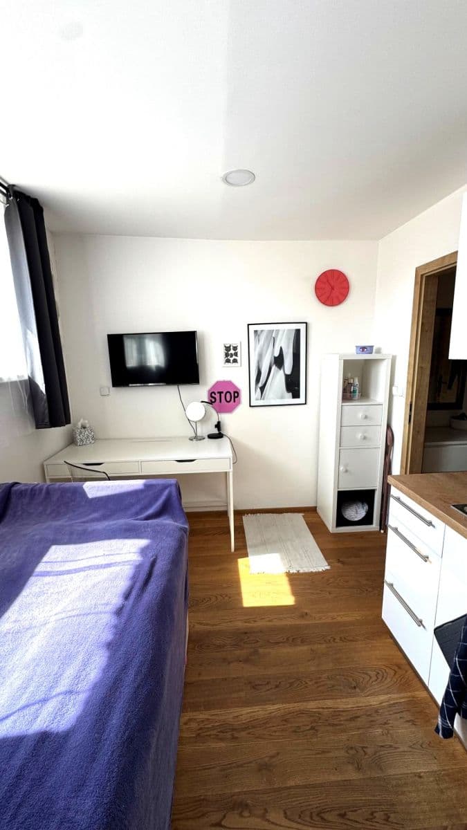 Small studio flat to rent, 15 m², Moskevská, Prague, Prague Small studio flat to rent, 15 m², Moskevská, Prague, Prague